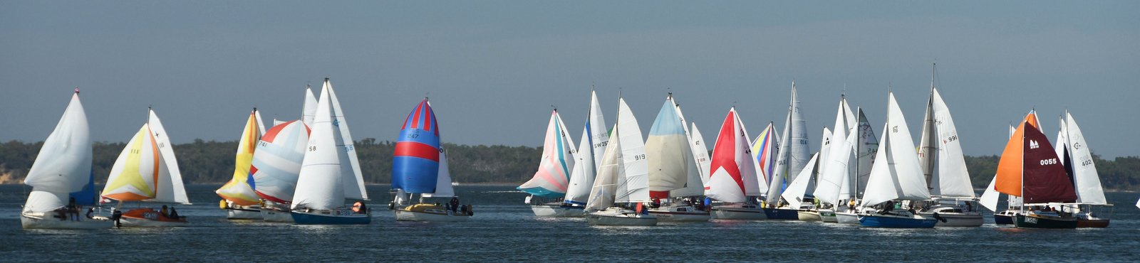 hobsons bay yacht club photos